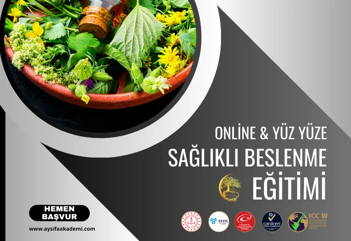 Sağlıklı Beslenme Koçluğu Eğitimi
